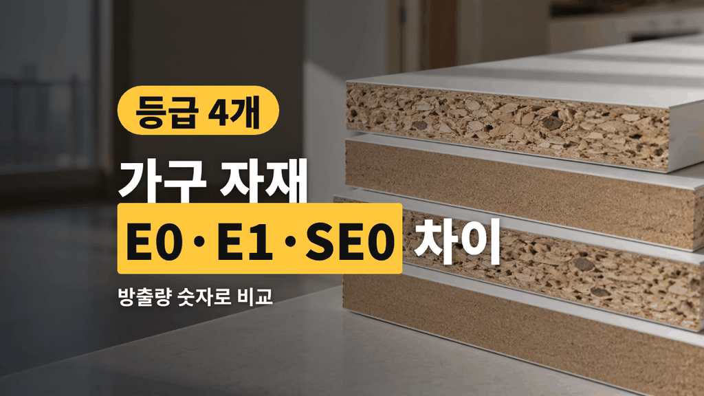 E0 E1 SE0 차이